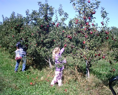 Overhiser Orchards